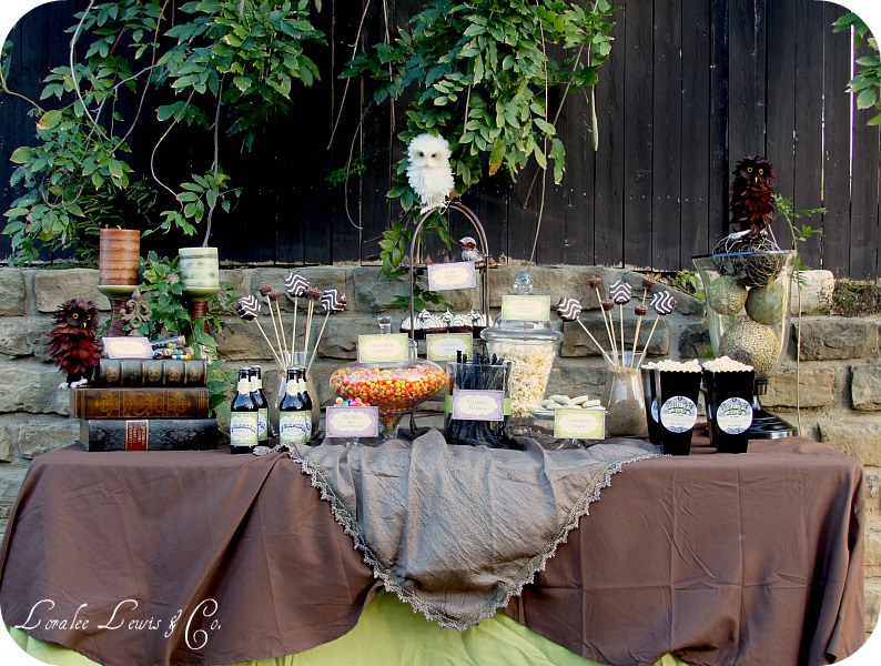 Harry potter picnic clearance